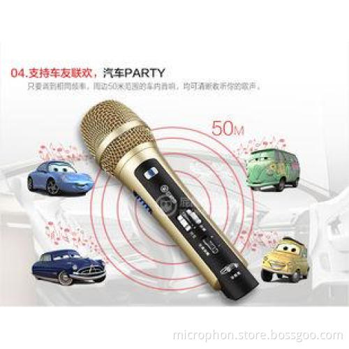 Singer vocalist Sing karaoke FM wireless microphone Built-i